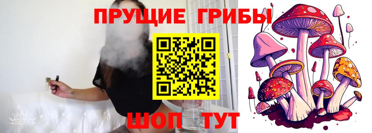 Балтийск  Галлюциногенные грибы Psilocybe  Вход с VPN 