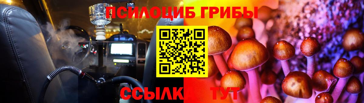 Псилоцибиновые грибы Psilocybine cubensis Балтийск