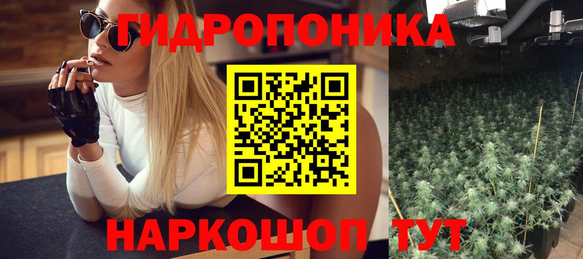 Марихуана Amnesia Балтийск